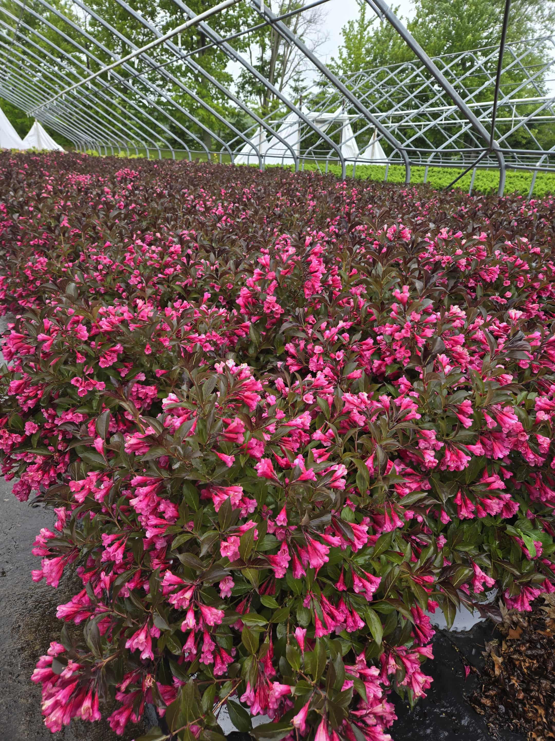 20251007 164434510 iOS 1