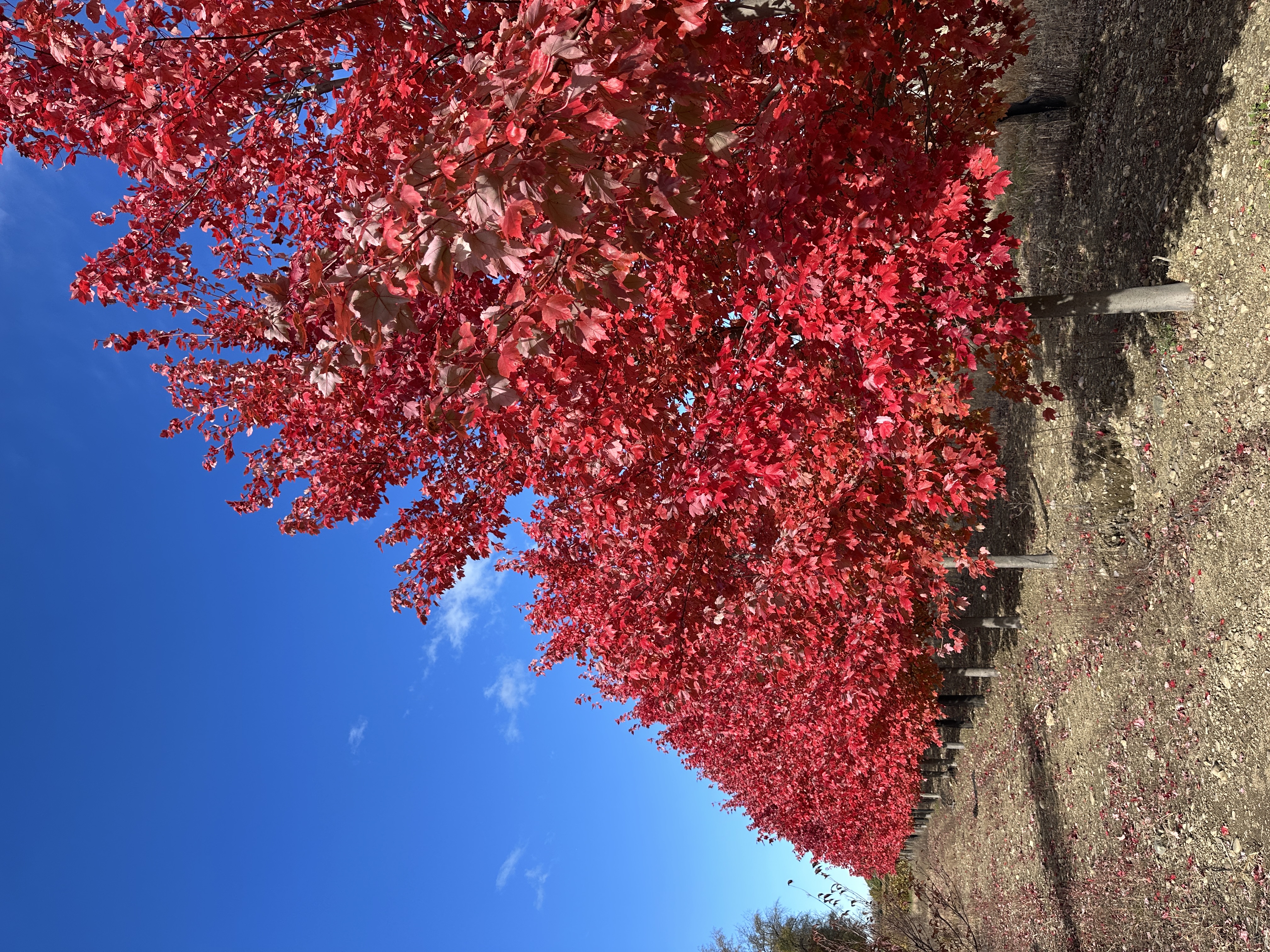 20251029 184459932 iOS