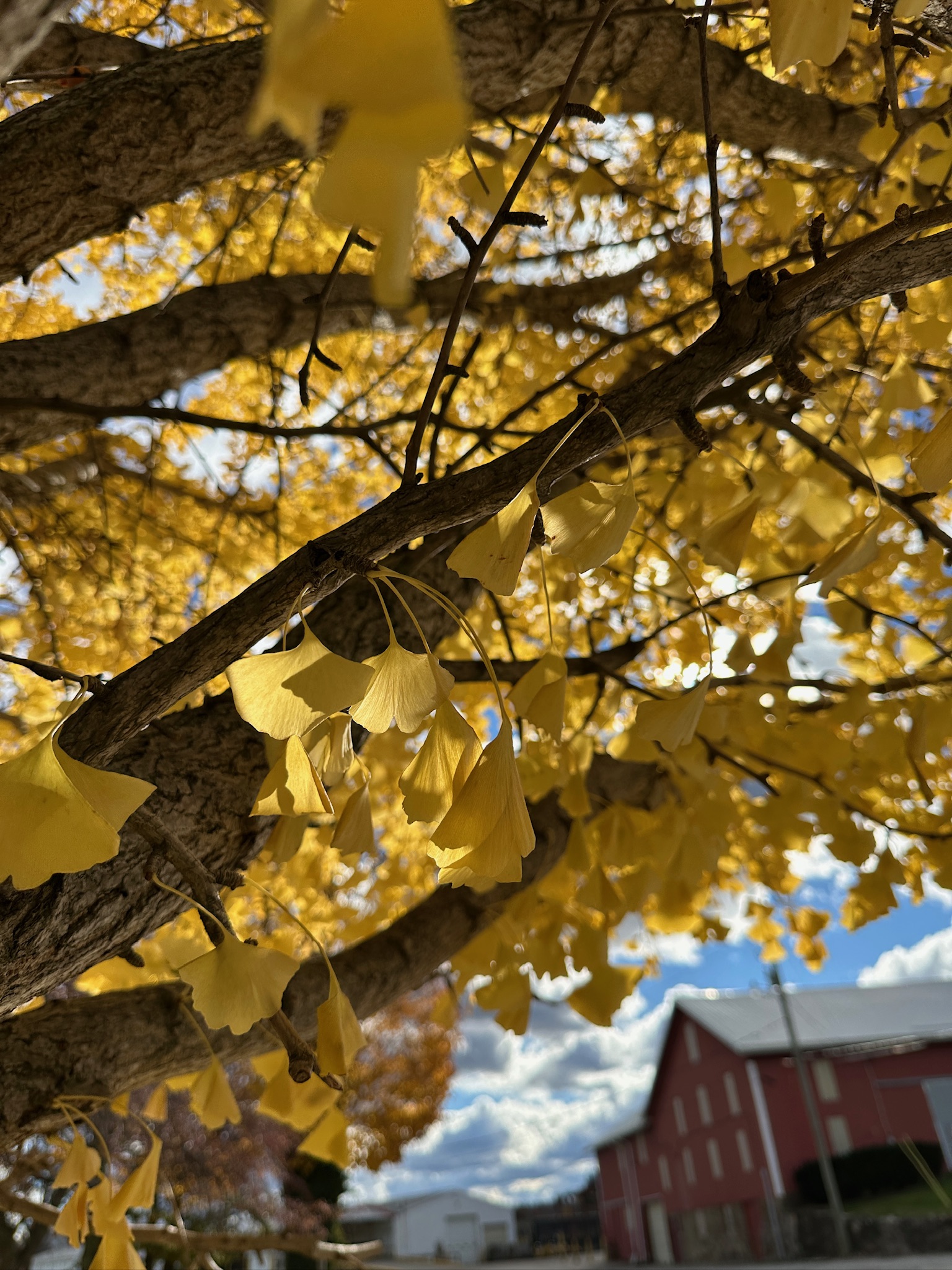 20251106 152709504 iOS